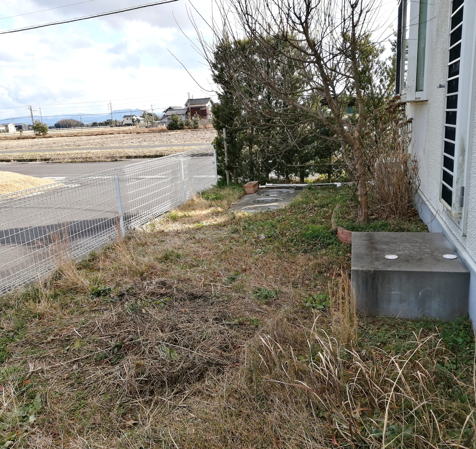 江津市 外構リフォーム 雑草が茂った庭の施工前の様子