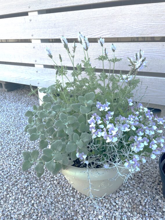 江津市 外構デザイン 鉢植えの植栽で彩る玄関まわり